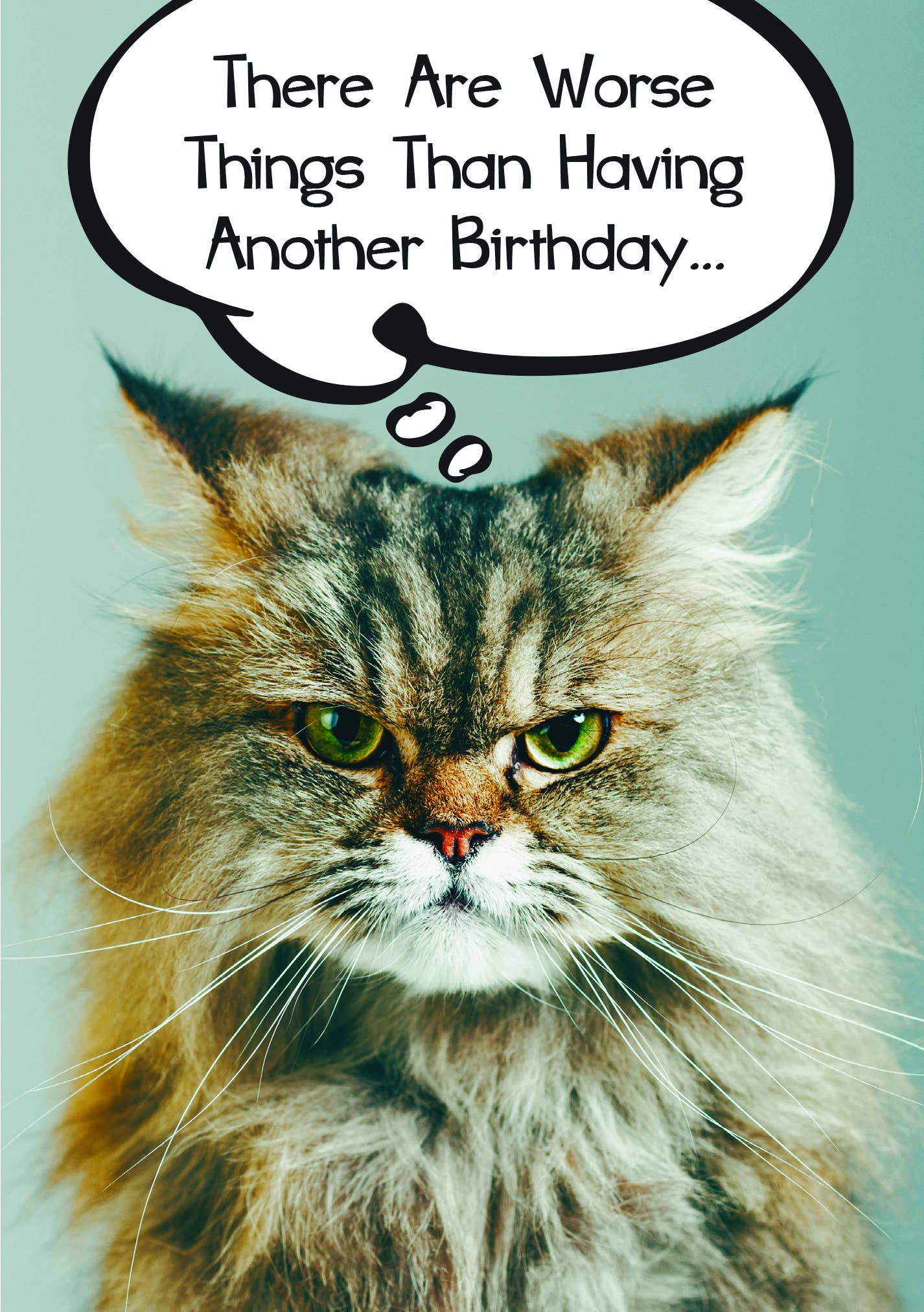 Cat Birthday - A Lot Worse Things