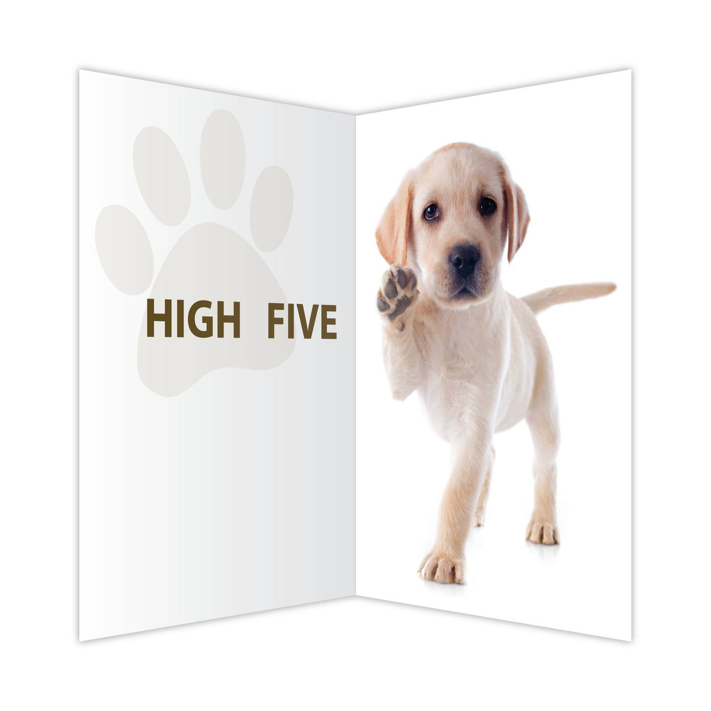 Encouragement - High Five