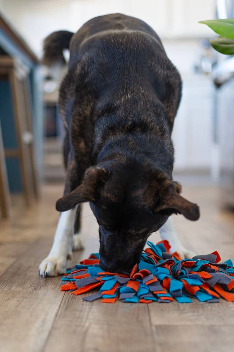 Messy Mutts Round Forage/Snuffle Mat 15" with Suction