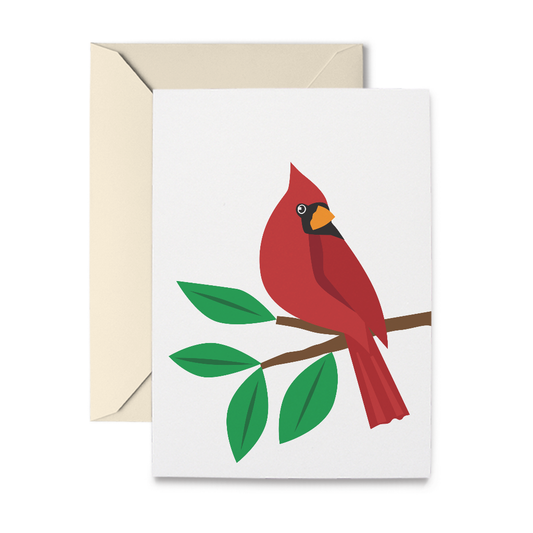 Cardinal Boxed Note Cards, Set of 10