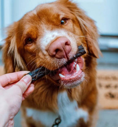 Etta Says! Crunchy Beef Dog Chews 4in