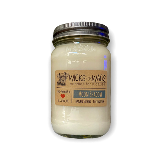 Moon Shadow | 14 oz Candle | Wicks for Wags Soy Candle