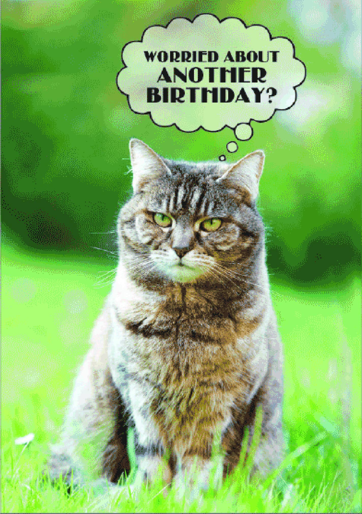 Cat Birthday - 9 Lives