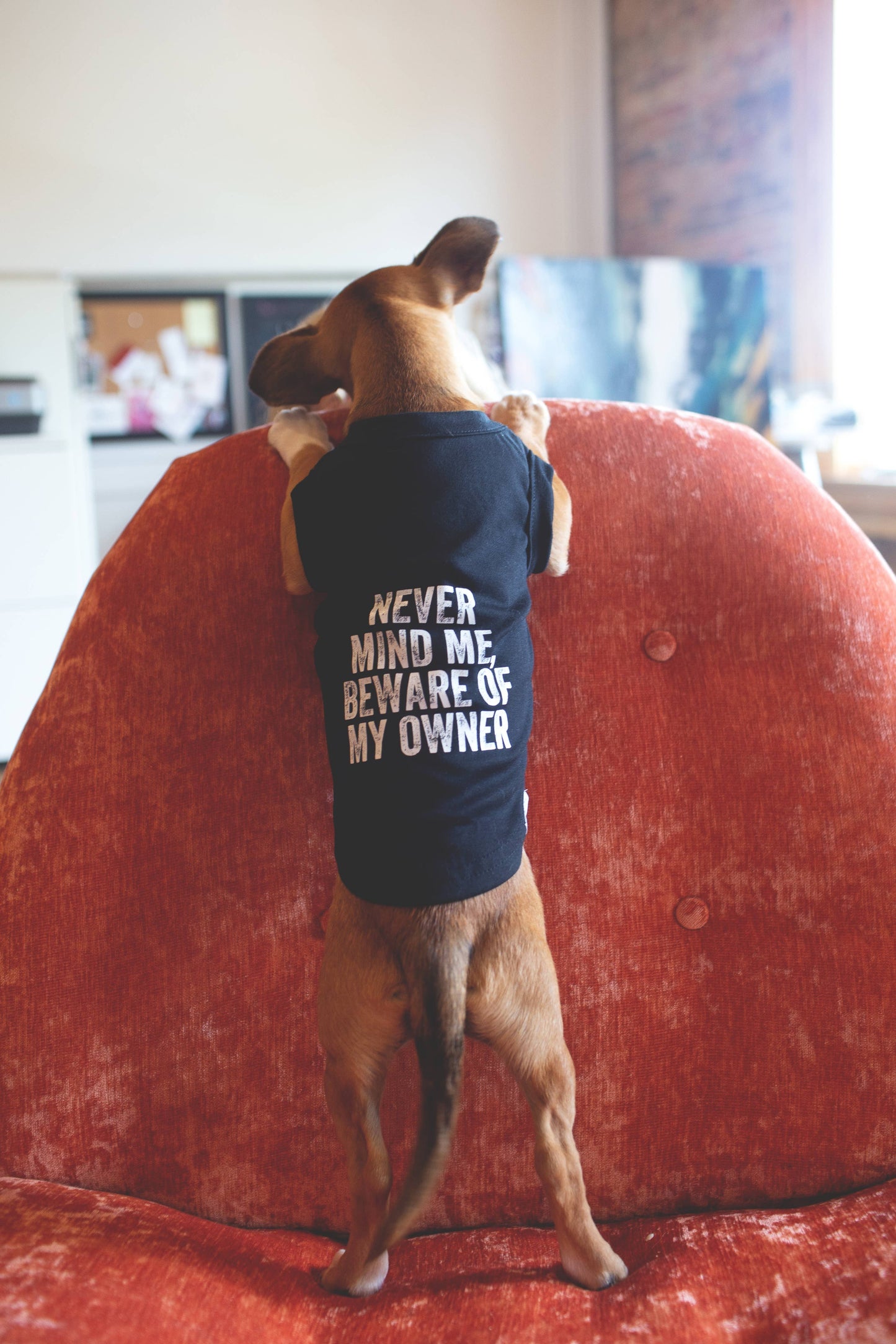 "In My Defense" Pet Tee