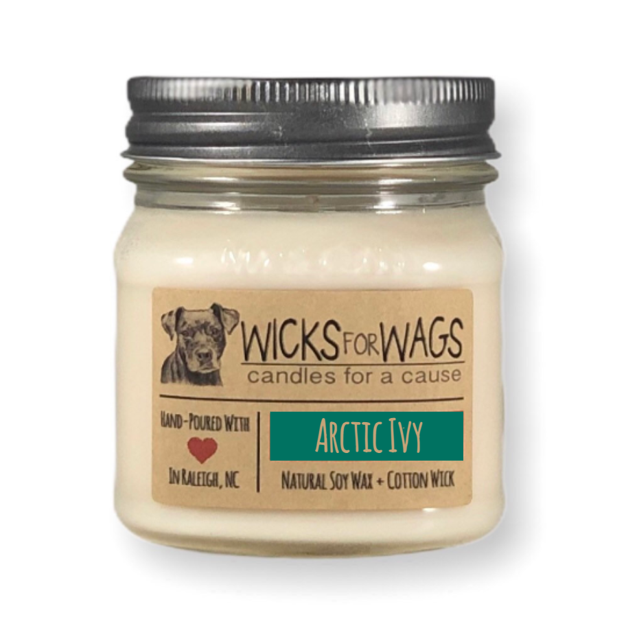 Arctic Ivy | 8 oz Candle | Mason Jar Soy Candle