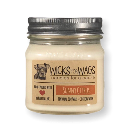 Sunny Citrus | 8 oz Candle | Wicks for Wags Soy Candle