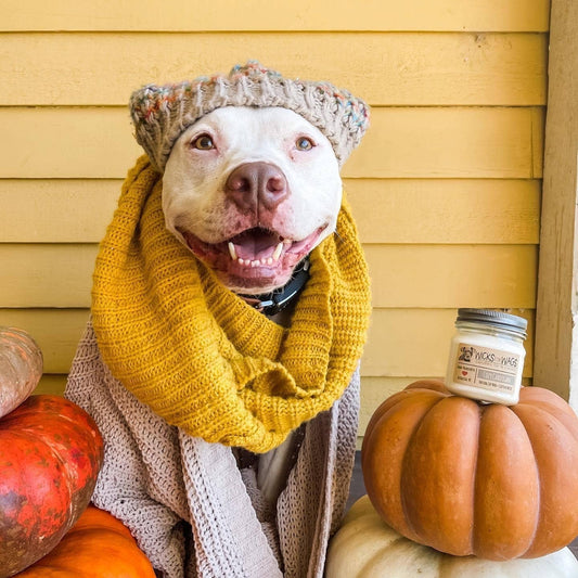 Cozy Cardigan | 8 oz Candle | Mason Jar Soy Candle