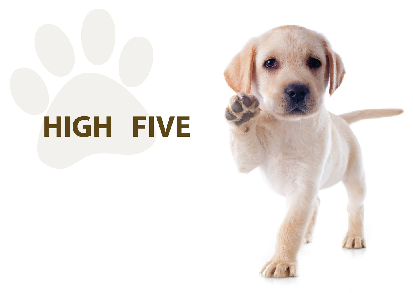 Encouragement - High Five