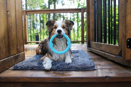 Totally Pooched Chew n' Tug Ring, Foam Rubber, 6.5", Teal