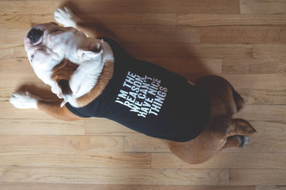 "I'm The Reason" Pet Tee