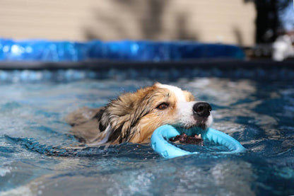 Totally Pooched Chew n' Tug Ring, Foam Rubber, 6.5", Teal