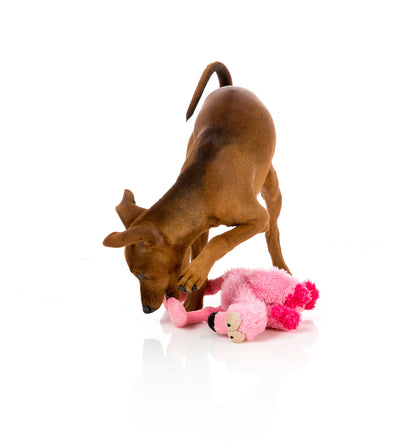 FuzzYard Dog Toy Little Flo the Flamingo Small