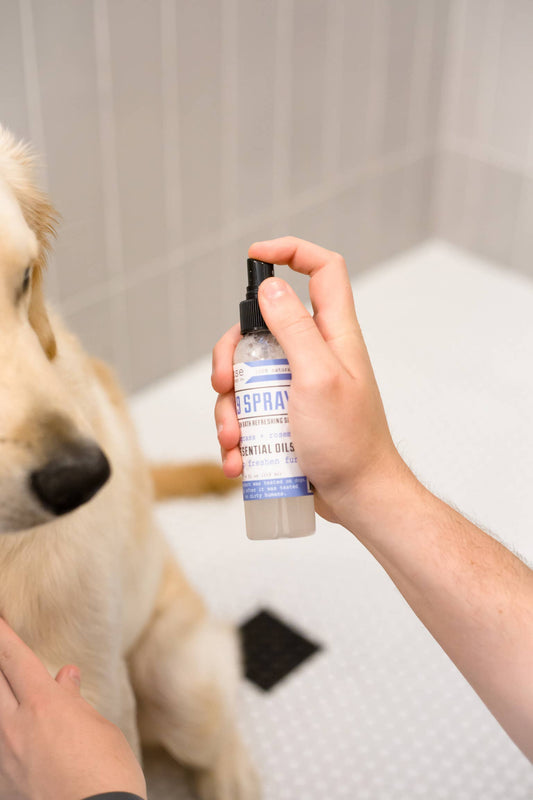 K9 Refreshing Spray