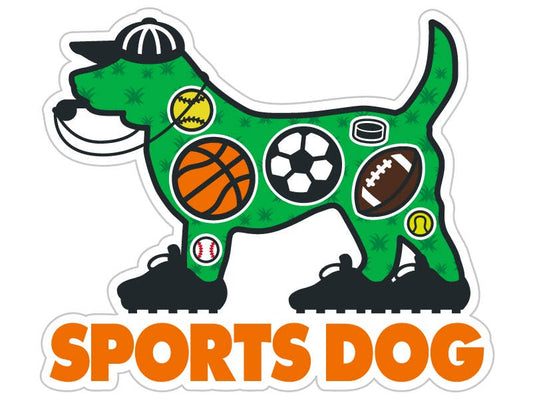 3" Sticker - Sports Dog