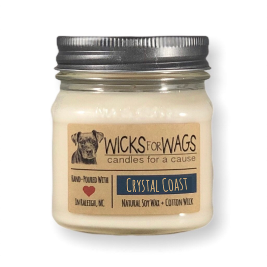 Crystal Coast | 8 oz Candle | Wicks for Wags Soy Candle