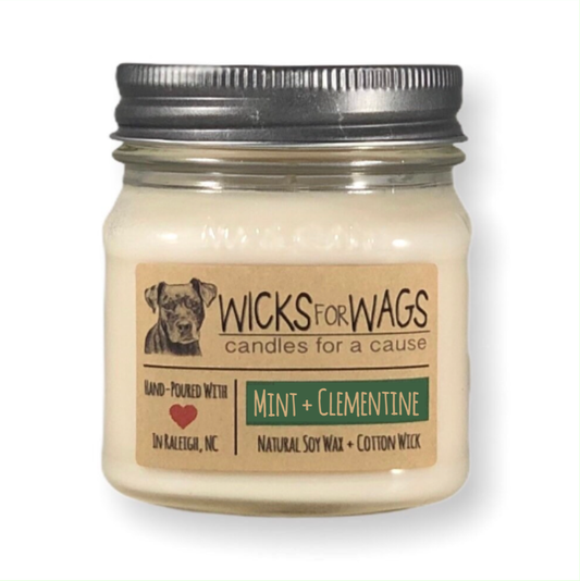 Mint + Clementine | 8 oz Candle | Wicks for Wags Soy Candle