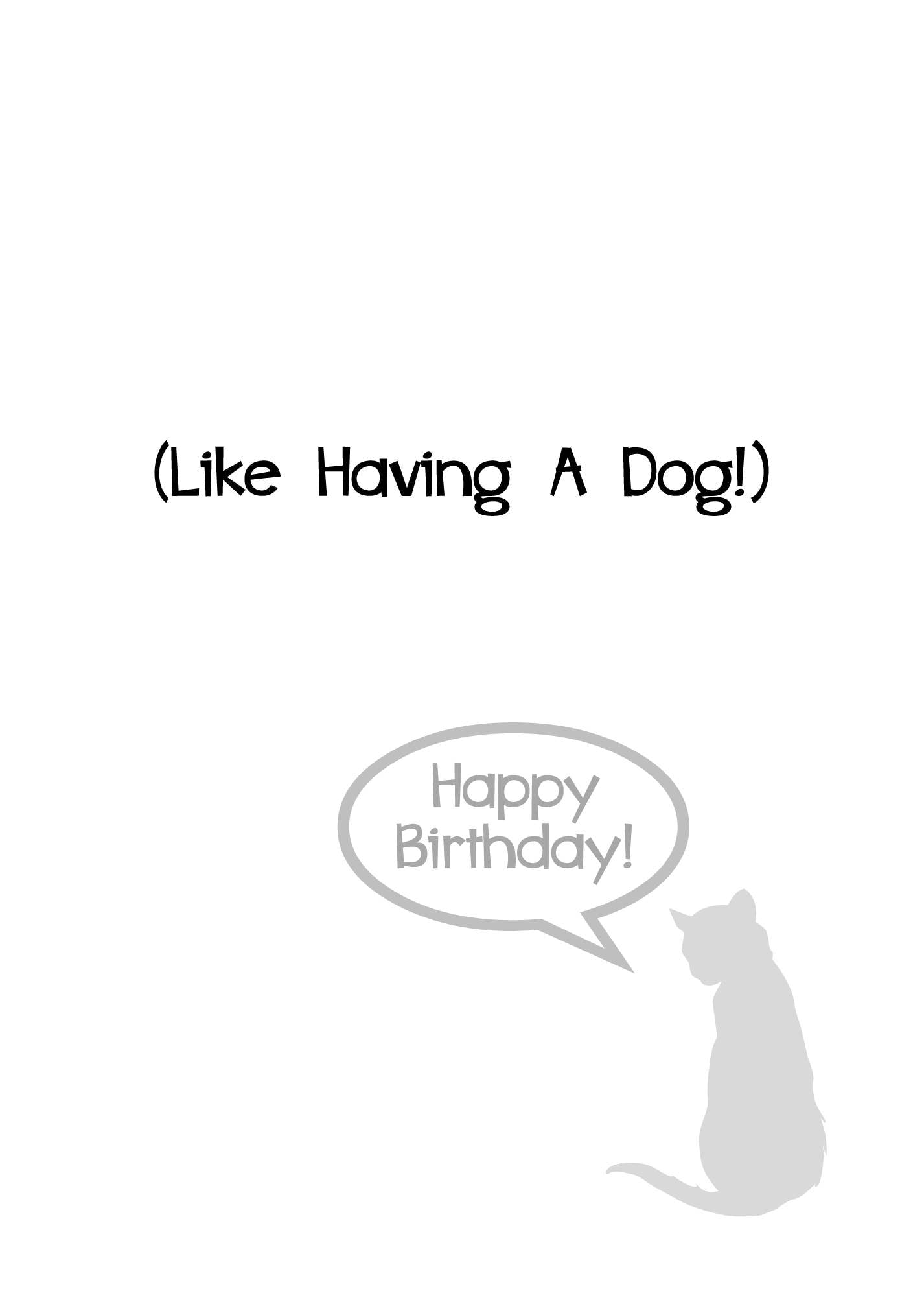 Cat Birthday - A Lot Worse Things