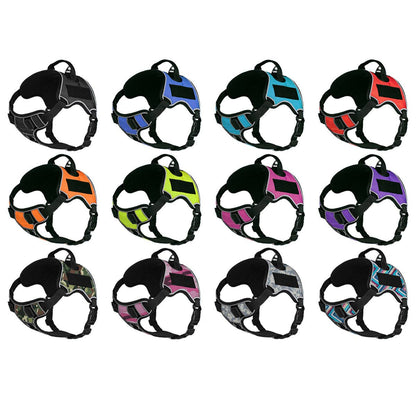 Dogline Quest Multi-Purpose Dog Harness